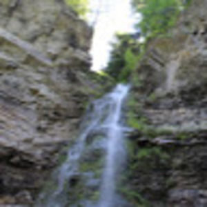 Meet your Posher, Bea